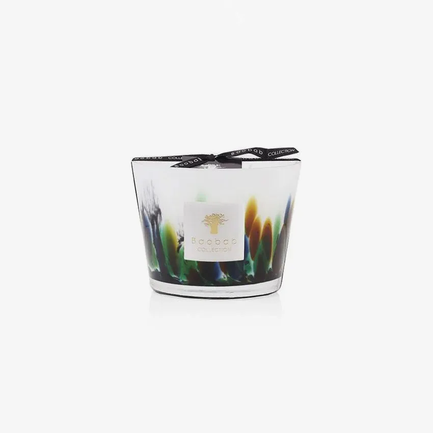 Baobab Collection | Amazonia Scented Candle
