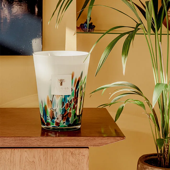 Baobab Collection | Amazonia Scented Candle