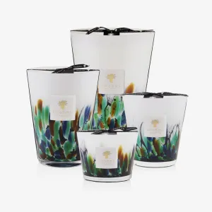 Baobab Collection | Amazonia Scented Candle