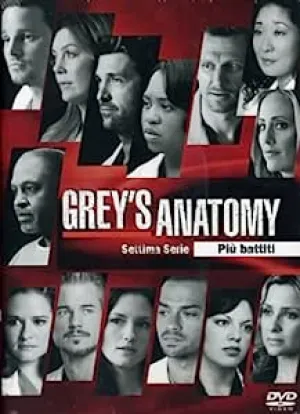 Grey's Anatomy - Stagione 7  6DVD