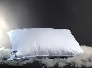Marie L'Oie | Queen Canadian White Goose Down Pillow