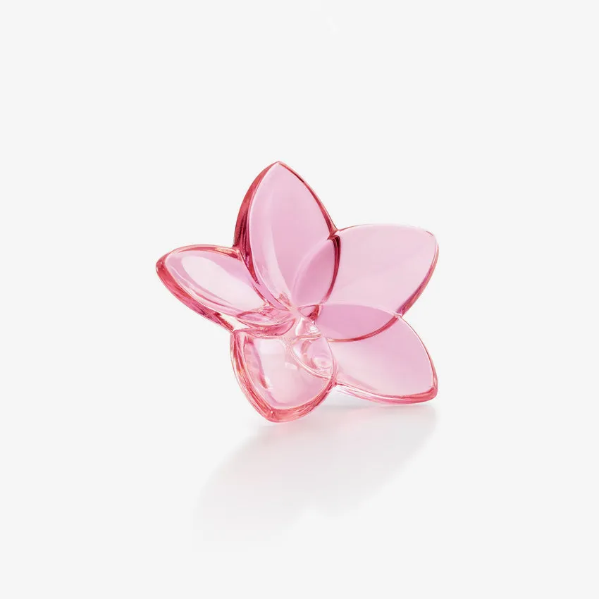 Baccarat | The Bloom Collection Crystalk Flower