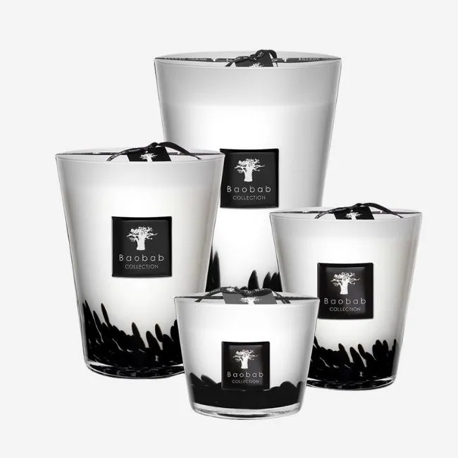 Baobab Collection | Feathers Black Scented Candle