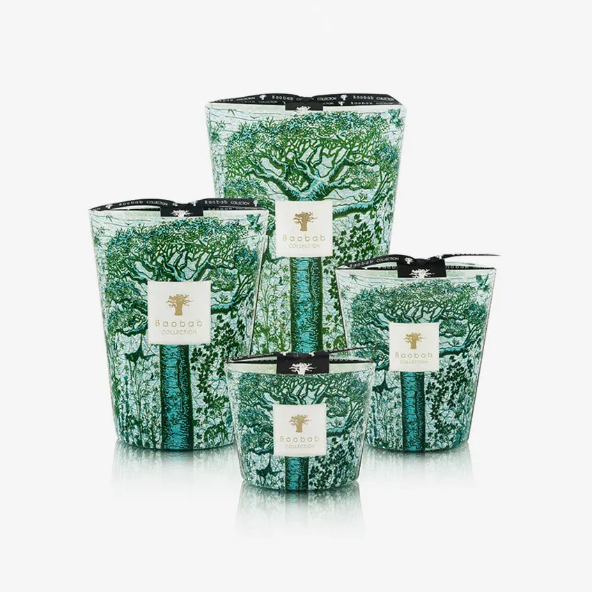 Baobab Collection | Sacred Trees Kamalo