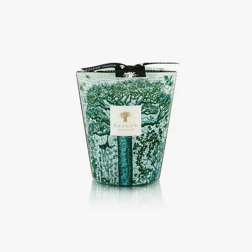 Baobab Collection | Sacred Trees Kamalo