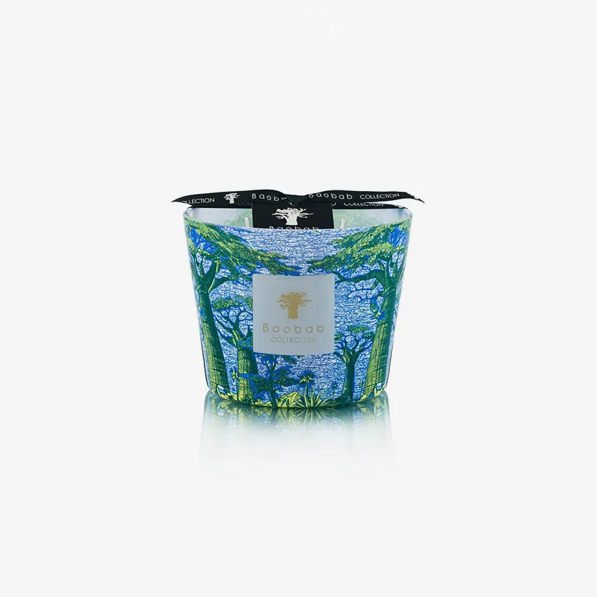 Baobab Collection | Sacred Trees Yarani