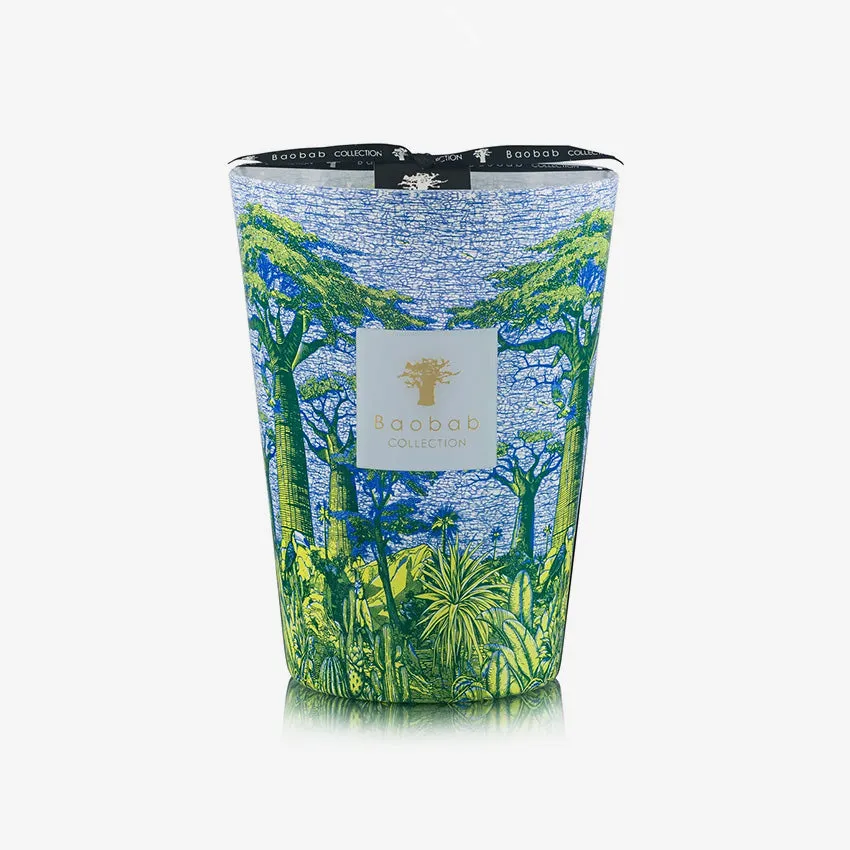 Baobab Collection | Sacred Trees Yarani