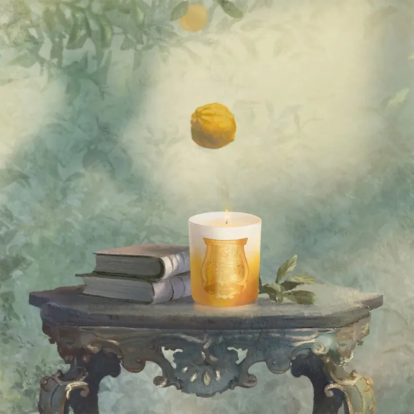 Cire Trudon | Isla de Oro Classic Scented Candle (Special Edition)