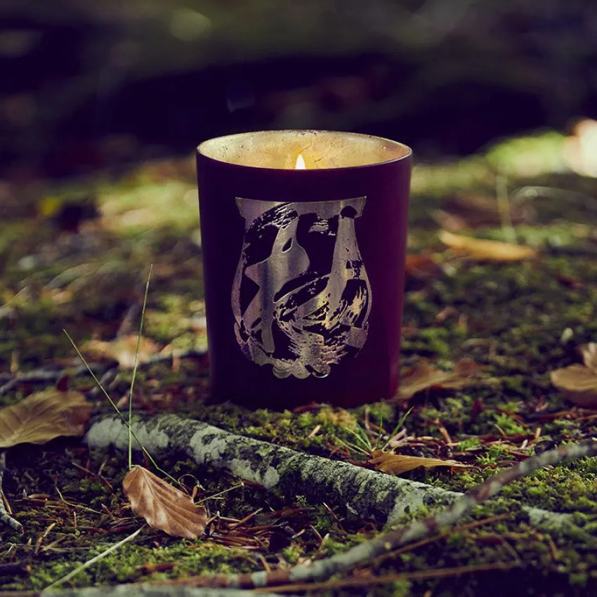 Cire Trudon | Matre Tseng x Trudon Terre  Terre
