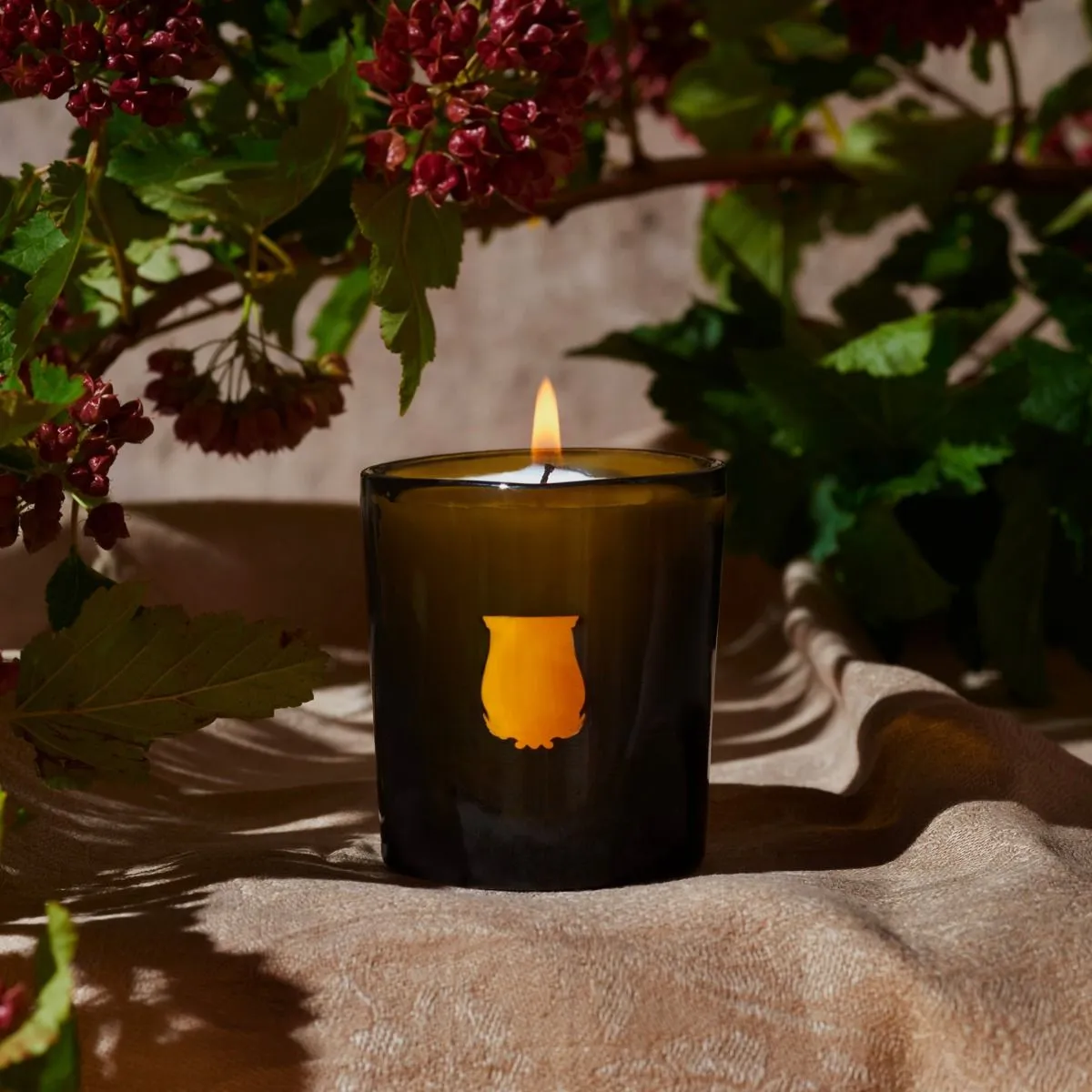 Cire Trudon | Odalisque Scented Candles (Orange Blossom)