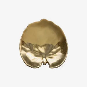 Costa Nova | Riviera Gold Alchemille Leaf