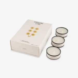Ginori 1735 | LCDC Tealight Scented Candles- White Jealousy - Set of 12