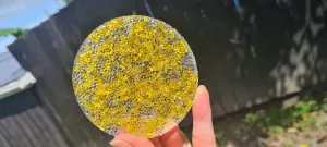 GOLD ROUND COASTER SET of 4-made by me